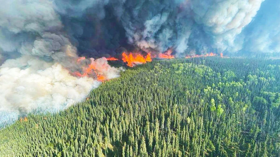 On filme les flammes. Mais le vrai sujet est avant le feu.